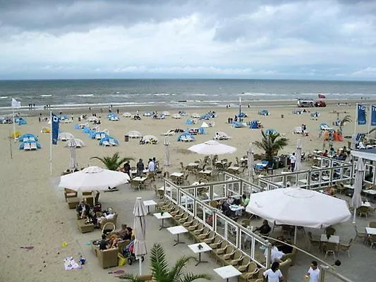 Sunnyzandvoort